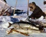 102-Winter-shea-fishing