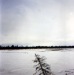 1960s Caribou on the thawing Kobuk River near Ambler.tif