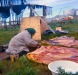 1960s Taking blubber off the skin.Kotzebue.