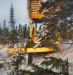 Late 1960s Gary carrying lumber cut on our mill.tif