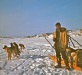 Kobuk slideshow_0023, Keith Jones with dog team