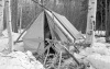 Olivers-tent-and-firewood-sawhorses