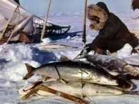 102-Winter-shea-fishing