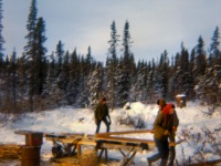 1964? Dorene Gary Oliver by our sawmill, Ambler.
