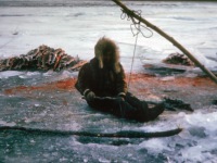 1965? Nelson Griest fishing.