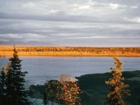 1967 Falltime. Looking across Kobuk River.