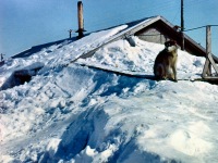 26-A-winter-house-in-Kozebue-not-ours