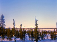 55-a-winter-scene