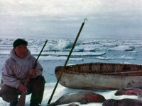 99-A-seal-hunter