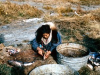 Cora Cleveland (married to Truman) cutting fish.