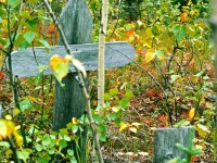 Baby Cleveland's gravesite.  Ambler, Alaska, 1964