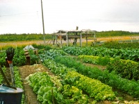 Image 0047