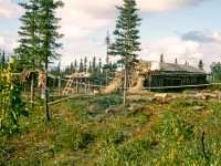 Image 0012