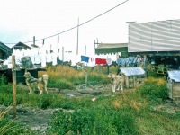 Image 0046
