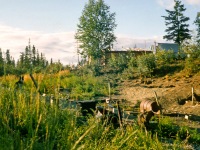 Image 0011