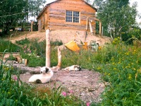 Image 0007