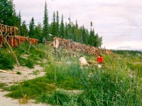 Image 0009