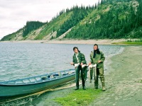 Image 0050