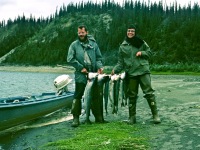 Image 0052