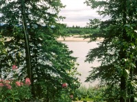Image 0016