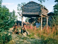 Image 0013