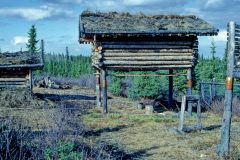 1982 AK Abl Oliver's Cache, photo by Sasha Wik.