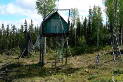 2010 Oliver's cache with radio antennae on top.