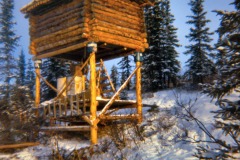 Log cache with sod roof
