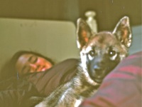 Kobuk slideshow  64-65_0007