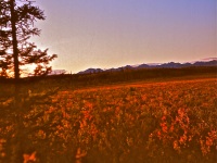 Kobuk slideshow  64-65_0009