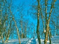 Kobuk slideshow   64-65