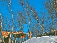 Kobuk slideshow  64-65_0001