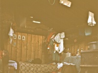 Ambler  fall, 70_0002