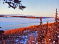 Kobuk R.  10.72