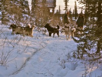 Kobuk R. -Jones & Wiks 10.72_0002