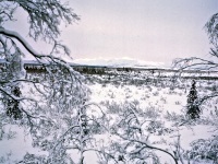 Kobuk R. - Kantners 11.72_0001