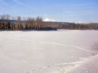 Kobuk R. -downriver  10.72