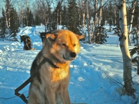 Kobuk slideshow_0019