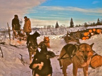 Kobuk slideshow_0030, Keith and Anore Jones with dog team