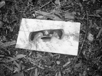1978 Axe head