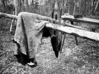 1978 Moose Hide