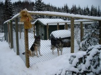 Bilder_2007_004