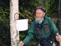 FH000010 bjørkesaft