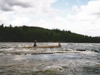 Image 15