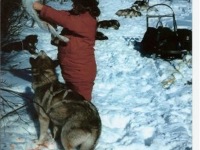 Image 34