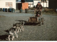 Image 38