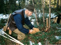 OliverGatheringGreens