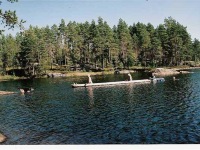 REIN_OLE_BETJE_AND_SASHA_IN_THE_WATER