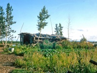 Image 0034