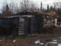 Pam-Ross-93-94.4-300x204